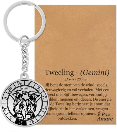 Sterrenbeeld Tweelingen (Gemini) Sleutelhanger op Cadeau Kaartje – Spiritueel Cadeau van Roestvrij Staal – Zilverkleurig – Pax Amare