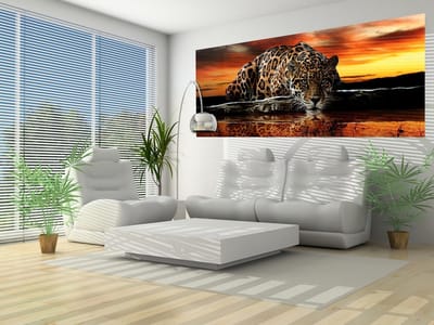 Leopard Photo Wallcovering