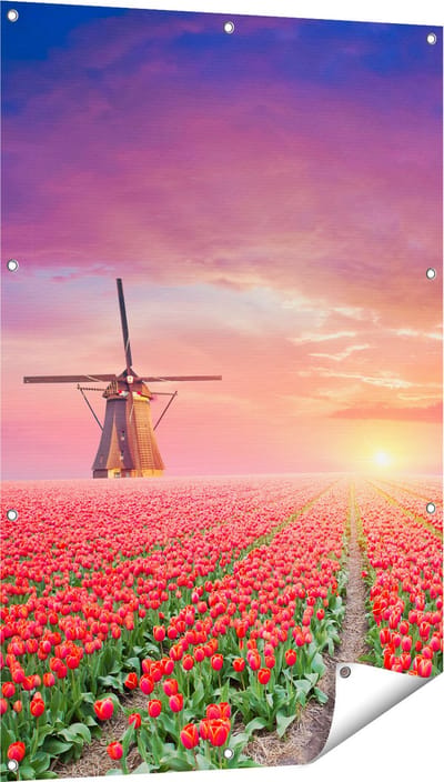 Gards Tuinposter Rode Rozen Bloemenveld met een Windmolen - 80x120 cm - Tuindoek - Tuindecoratie - Wanddecoratie buiten - Tuinschilderij