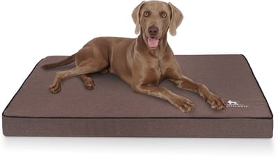 Orthopedische hondenmat Nantucket van velours met een handgeweven karakter L 80 x 60cm bruin