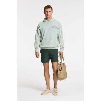 Shiwi Zac Relaxed Fit Hood Sweat Paradise Green Seafoam Größe: S | Kaputzenpullis Outlet | Herren | Grün