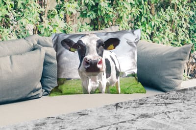 Buitenkussens - Koe - Weiland - Natuur - Dieren - Gras - 60x40 cm - Weerbestendig