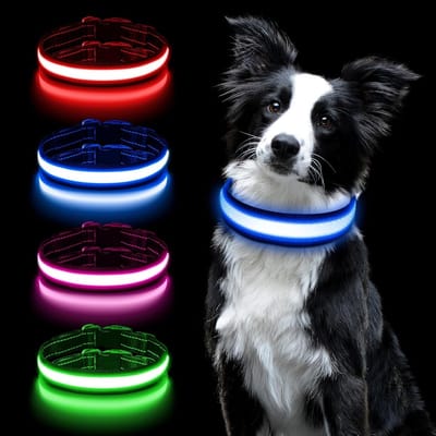 Verstelbare LED Hondenhalsband met Oplaadbare USB, Waterdicht en Veilig, 3 Verlichtingsmodi voor Kleine en Grote Honden in het Donker (Blauw-M)