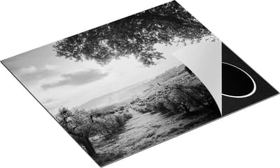 Chefcare Inductie Beschermer Olijvenbomen - Olijvengaard - Zwart Wit - 60x50 cm - Afdekplaat Inductie - Kookplaat Beschermer - Inductie Mat