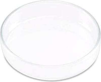 Voederschaal Vissen - Type nano - Doorsnee: 6 cm