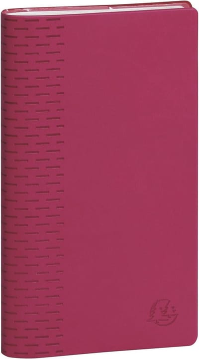 SnelShoppen - Weekkalender 2024-2025 - Exacompta 1 SAS 17 Winner - Zakelijke Agenda 9x17,5 cm - Willekeurige Kleuren - Perfect voor Planning en Organi