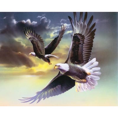 5D DIY Diamond schilderij  Soaring Eagle  borduurwerk kruissteek Strass mozaïek schilderij cadeau 20X30CM black