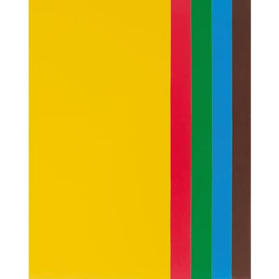 Wasplaten‑set, 20 × 10 cm, 5 stuks - Rainbow
