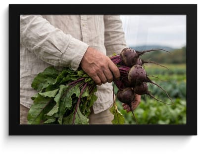 Poster in lijst - Fotolijst 30x20 cm - Posters - Bieten - Vers - Moestuin - Posterlijst zwart - Decoratie - Wanddecoratie woonkamer - Muurdecoratie slaapkamer