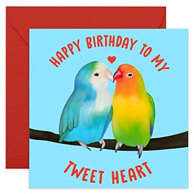 Verjaardagskaart met Leuke Vogels - 'Happy Birthday to My Tweet Heart' - Perfect voor Vriendin of Vriend