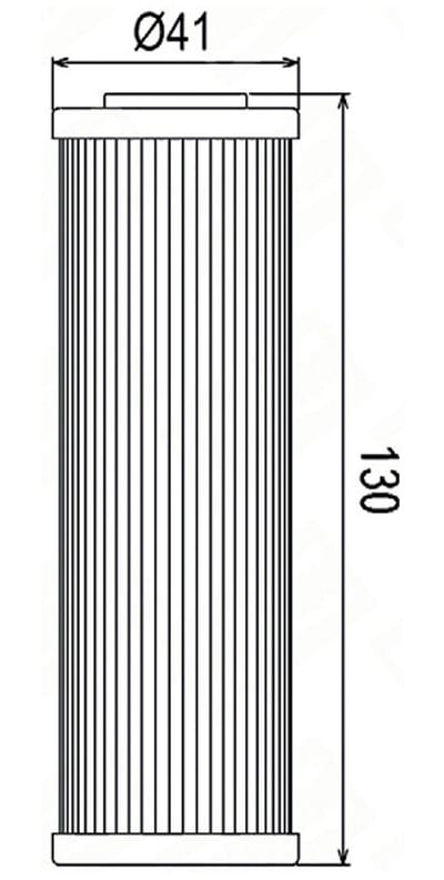 Filtre à huile Champion pour Moto CF moto 800 NK 2023 à 2024 Neuf
