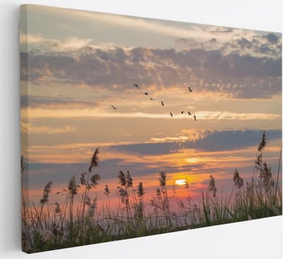 Saammp Canvas Schilderij - Nederland Tijdens zonsondergang - Zonsondergang - Landschap - Natuur - 30x20 - Foto op canvas - Wanddecoratie - Muurdecoratie Woonkamer - Slaapkamer decoratie - Canvas Print