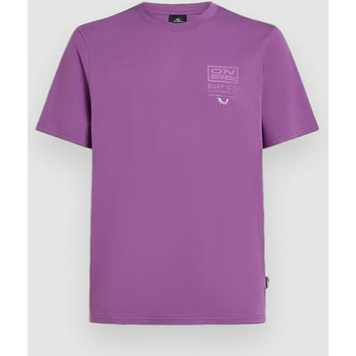 O'Neill Retro Graphic T-Shirt