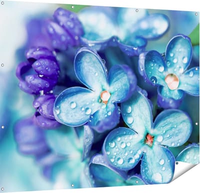 Gards Tuinposter Blauwe Lila Bloemen - Seringen - 150x120 cm - Tuindoek - Tuindecoratie - Wanddecoratie buiten - Tuinschilderij