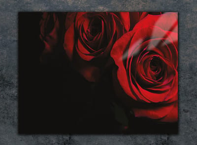 TMK ArtDeko - Glas Snijplank - 30x22cm - RVS - Anti-slip