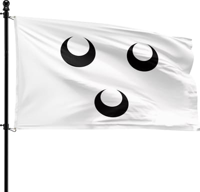 VlagDirect - Oosterhout vlag - Gemeente Oosterhout vlag - 90 x 150 cm.