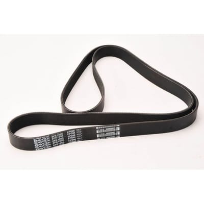 V-riem DAYCO 8PK1955HD