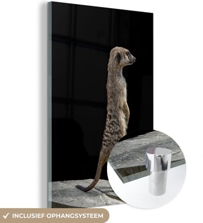 MuchoWow® Glasschilderij 120x180 cm - Schilderij acrylglas - Stokstaartje - Wilde dieren - Zwart - Foto op glas - Schilderijen