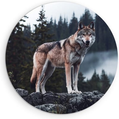 Saammp Muurcirkel Hout - Wolf op een rots - Dieren - Natuur - Ø 90 - Wandcirkel - Wanddecoratie Cirkel - muurdecoratie Woonkamer - Slaapkamer decoratie - Rond Schilderij