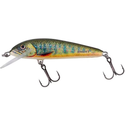 Lok Salmo 5F