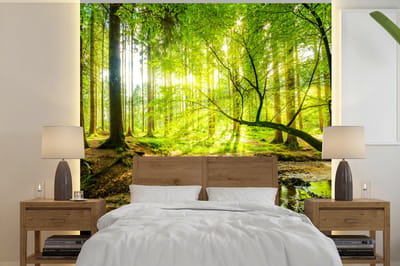 Behang - Fotobehang Bos - Landschap - Water - Bomen - Zon - Groen - Natuur - Breedte 300 cm x hoogte 300 cm