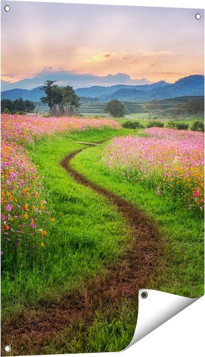 Gards Tuinposter Kosmos Bloemenveld met een Pad - Bloemen - 60x90 cm - Tuindoek - Tuindecoratie - Wanddecoratie buiten - Tuinschilderij