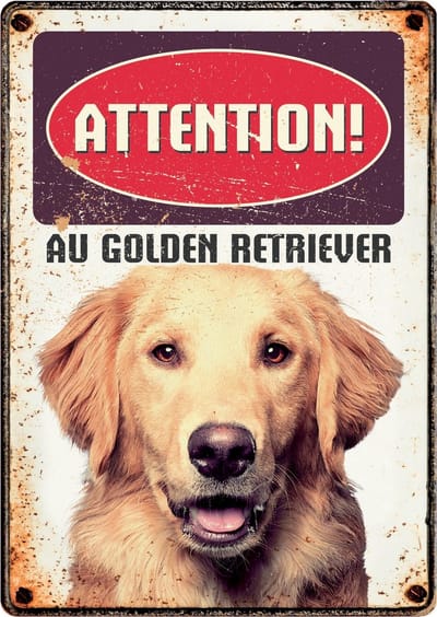 Plenty Gifts Waakbord Hond Golden Retriever 21 X 14 Cm Staal (fr)