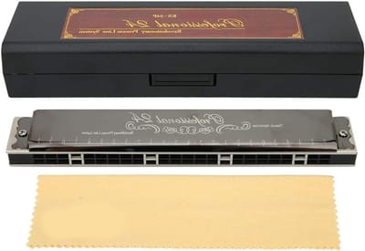 Professionele 24-Gats Harmonica, Polyfone Diatonische Mondharmonica voor D-toonsoort met Sterke Klank en Duurzaam Ontwerp