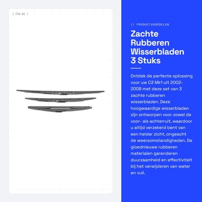 Dailygoods- Ruitenwisser 3-delige set - Achterwisser - Rubberen Bladen - Geschikt voor C3 Mk1 2002-2008 - Hoogwaardige Prestaties - Volledig Schoon - Wisserbladen