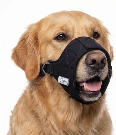 Honden muilkorf - Neopreen mondbescherming - Veilig transport - Ademen en drinken mogelijk - Maat XL - Zwart