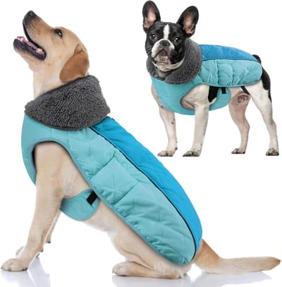 Hondenwinterjas - Warme hondenjas - Hond warm houden - Reflecterende strepen - Maat S - Heet Blauw