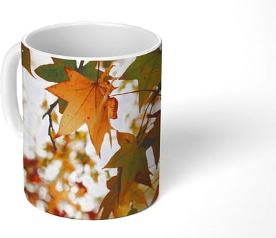Mok - Koffiemok - Natuur - Herfstbladeren - Landelijk - Mokken - 350 ML - Beker - Koffiemokken - Theemok