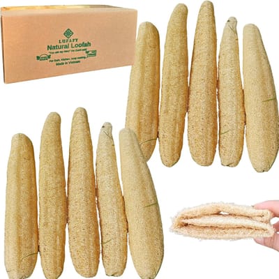 Natuurlijke Loofah Sponzen - Bad Sponzen Body Scrubbers - Huid Exfoliëren - Plantaardige Vezels - 10 stuks - Naturel