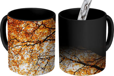Magische Mok - Foto op Warmte Mokken - Koffiemok - Boom - Herfstbladeren - Seizoenen - Landelijk - Magic Mok - Beker - 350 ML - Theemok