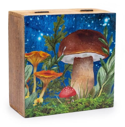 Ancient Wisdom - Wierook - Grote vierkante doos 15x17,5x8cm - Paddenstoeldesign - geurstokjes - aromatherapie - handgerold - geurige oliën - wierookhouder - geur