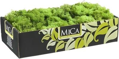 Mica Decorations Rendiermos - 500 gram - groen - hobby mos - decoratie materialen