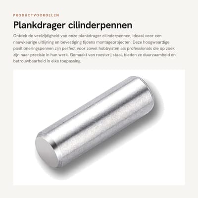 Dailygoods- Plankdrager Roestvrij Staal - Plankdragers M6x6mm - Positioneringspennen - Cilindrische Fixeerpen - 30 Stuks - Duurzaam en Corrosiebestendig - Positioneringspen