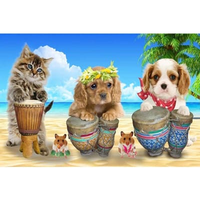 Cross Stitch Kit DIY Diamond Borduren Katten en honden op het strand Diamond Painting Mozaïek Home Decor 20X30CM blue