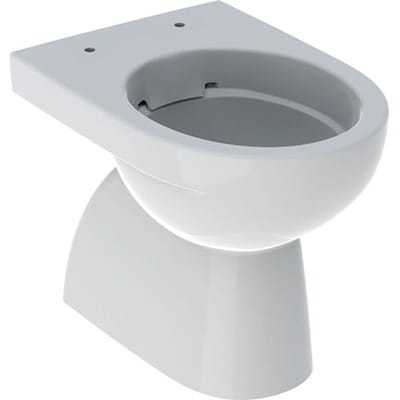 Geberit Renova pedestal WC washdown, vertical outlet, partially enclosed form, Rimfree 500.399.01.2