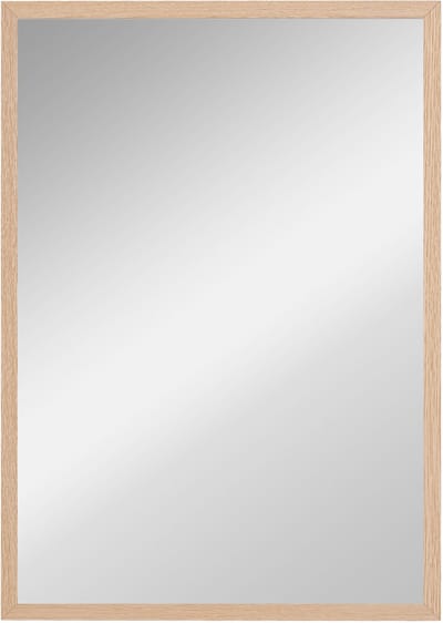 Wandspiegel 50x70 cm - Badkamerspiegel Met Haken - Rechthoekige Wandspiegel - Decoratieve Spiegel - 4 Kapstokhaken - Slaapkamer - 50x70cm