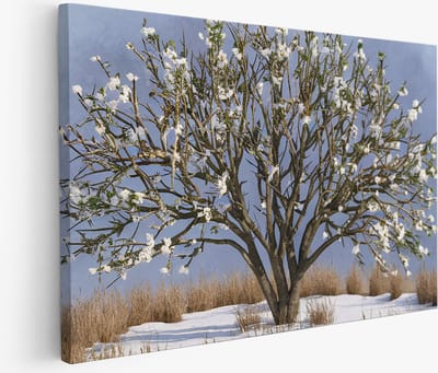 Saammp Muurcirkel Hout - Vrouw tussen de vlinders - Ø 80 - Wandcirkel - Wanddecoratie Cirkel - Muurdecoratie Woonkamer - Slaapkamer decoratie - Rond Schilderij