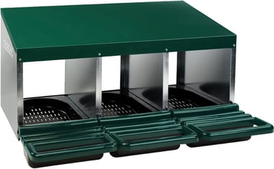 Gaun Pluimvee legnest – Comfortabele plastic vloer – Inclusief opvangbak – Tot 15 kippen – 80x52x48 cm - Groen