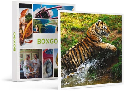 Bongo Bon -Dagje Safaripark Beekse Bergen Nabij Tilburg Voor Het Gezin- Cadeaukaart