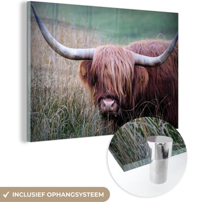 MuchoWow® Glasschilderij 120x80 cm - Schilderij acrylglas - Schotse Hooglander - Hoorns - Gras - Foto op glas - Schilderijen