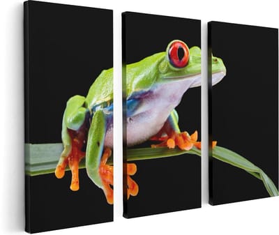 Artaza Canvas Schilderij Drieluik Kikker met Rode Ogen op een Plant - 120x80 - Foto Op Canvas - Canvas Print