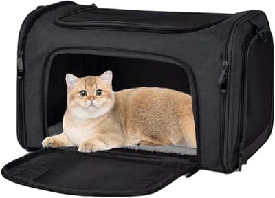 Kat Drachtzak - Reistas Huisdier - Veilig Reizen - Ademend Gaas - 45x37x8.8 cm - Zwart