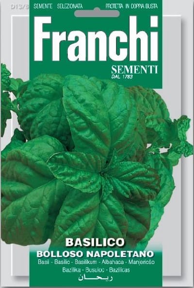 Franchi Basilico Bolloso Napolitano - basilicum Napolitano
