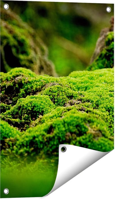 Gards Tuinposter Groen Mos - 40x60 cm - Tuindoek - Tuindecoratie - Wanddecoratie buiten - Tuinschilderij