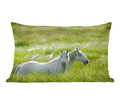 Sierkussens - Kussen - Twee witte paarden met eenden op hun rug in het gras - 50x30 cm - Kussen van katoen
