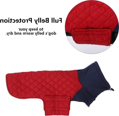 Warm en Waterdicht Winterjacket voor Teckels - Winddicht met Hoge Hals en Koordgaten voor Kleine Honden - Rood, Maat S